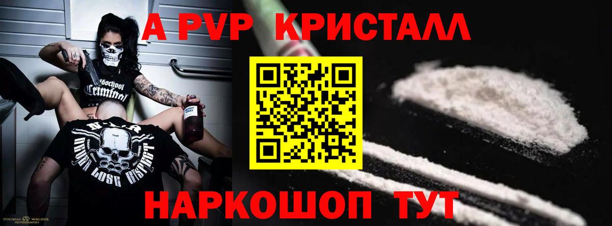 Альфа ПВП СК Сунжа