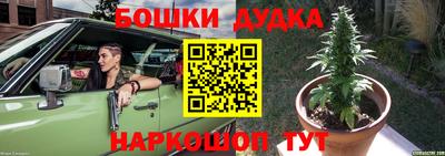 apvp Лесосибирск