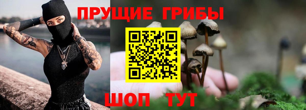 Сунжа  Псилоцибиновые грибы MAGIC MUSHROOMS  Галлюциногенные грибы MAGIC MUSHROOMS  Вход с VPN 